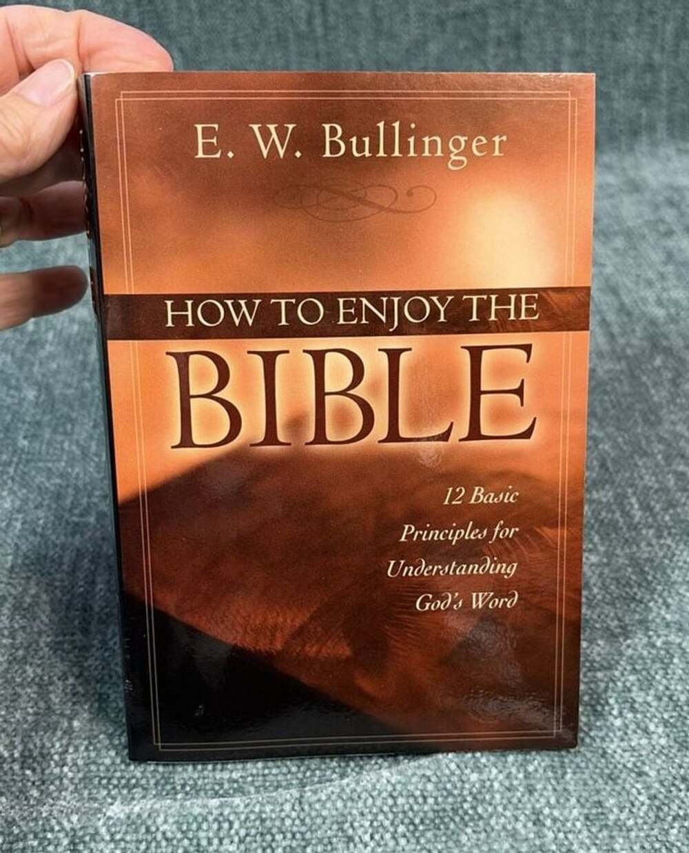 How to Enjoy the Bible: 12 Principles for Understanding God's Word Bullinger